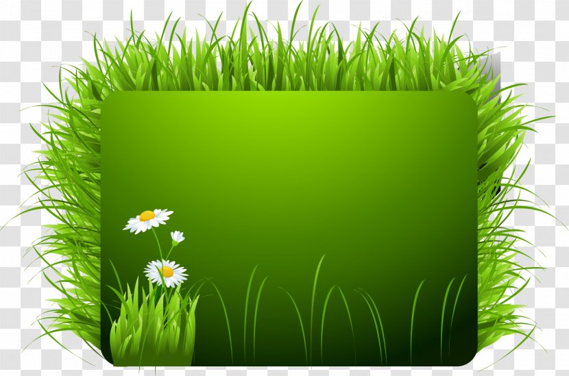 Euclidean Vector GRASS GIS Illustration - Grass Gis Transparent PNG