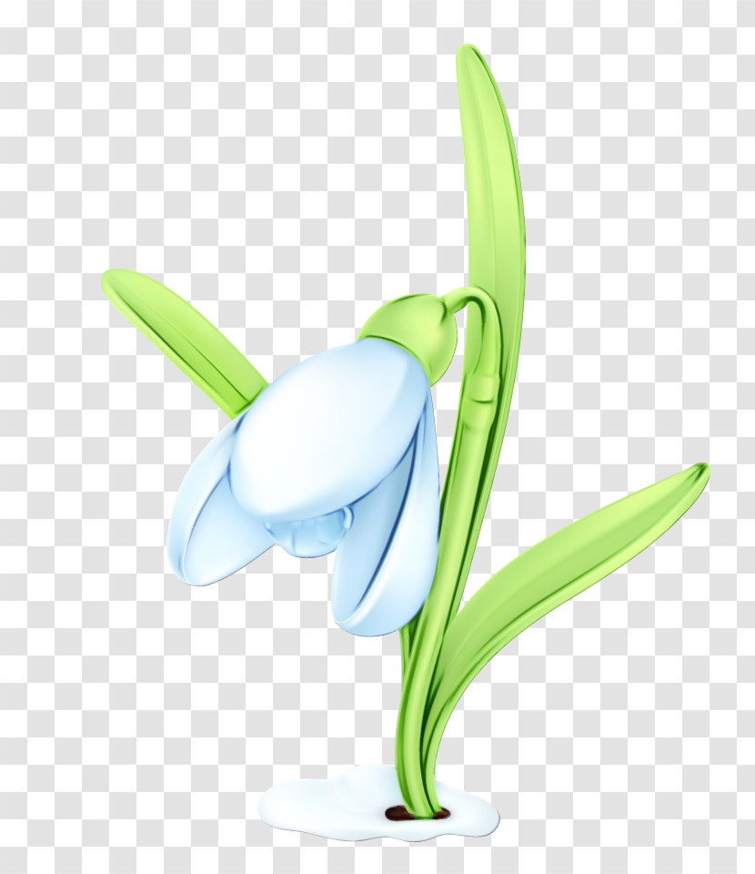 Snowdrop Galanthus Flower Plant Amaryllis Family Transparent PNG