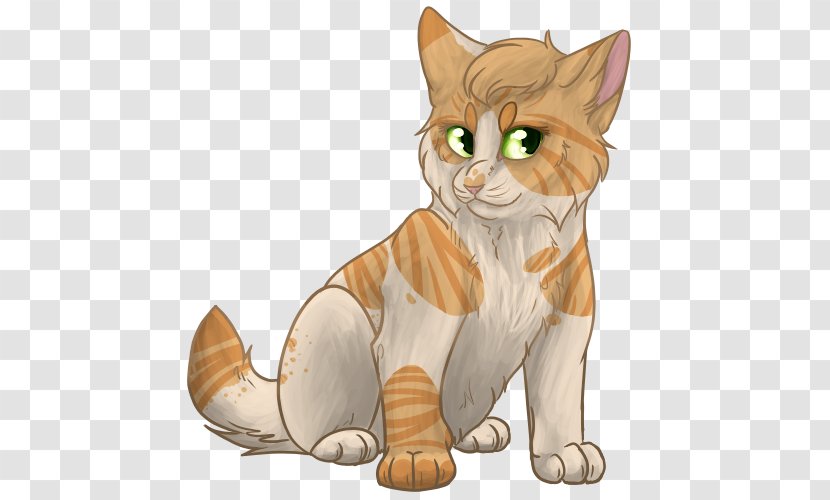 Whiskers Kitten Tabby Cat Domestic Short-haired Wildcat - Carnivoran Transparent PNG