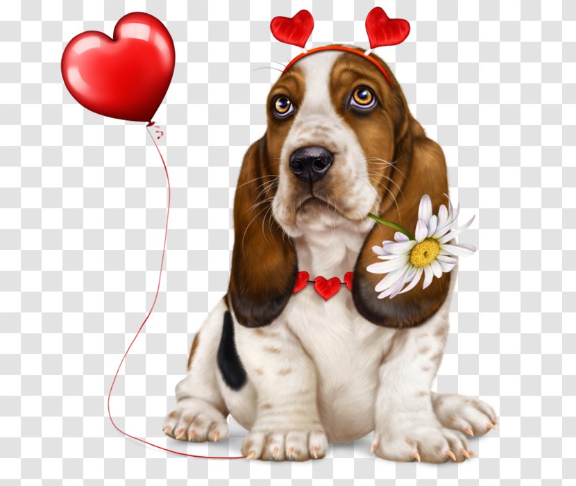 Basset Hound Puppy Yorkshire Terrier Dog Breed Poodle Transparent PNG