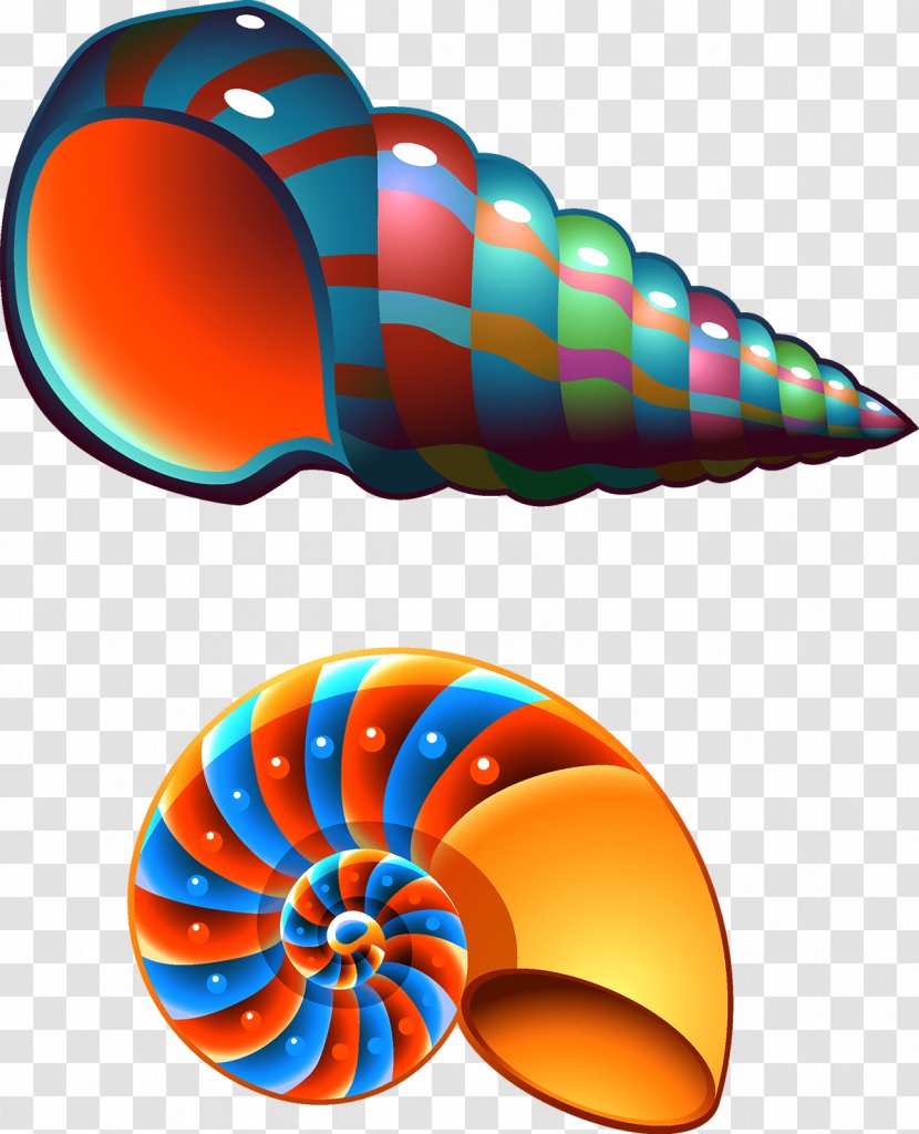 Seashell Conch Mollusc Shell Clip Art - Nautilida - Colorful Transparent PNG