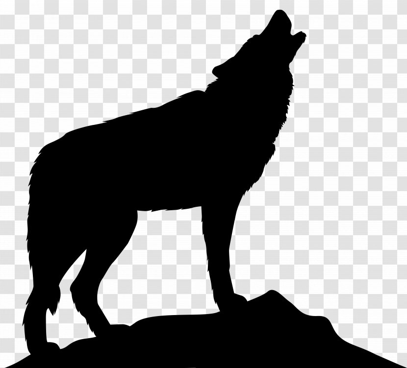 Dog Silhouette - Sporting Group - Black Norwegian Elkhound Tail Transparent PNG