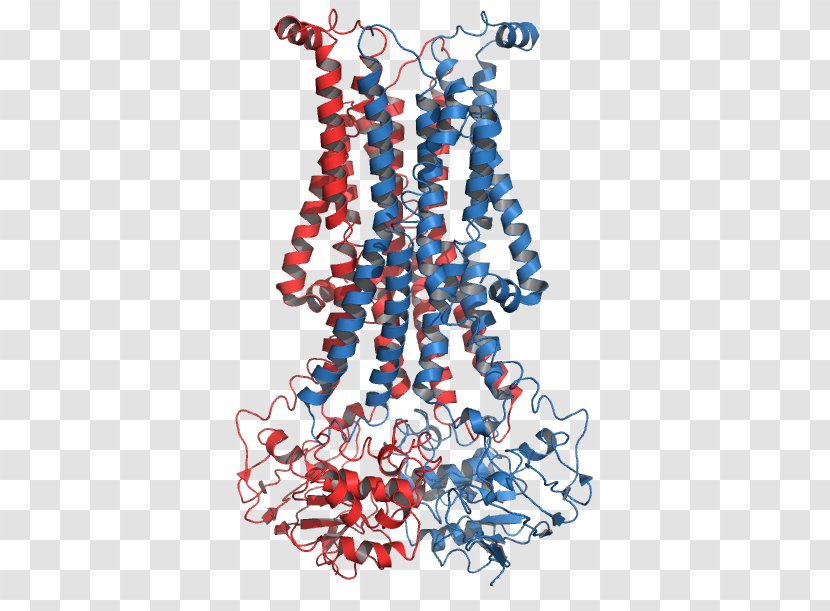 Flippase Phospholipid ATPase Transmembrane Protein Biological Membrane - Flower - Silhouette Transparent PNG