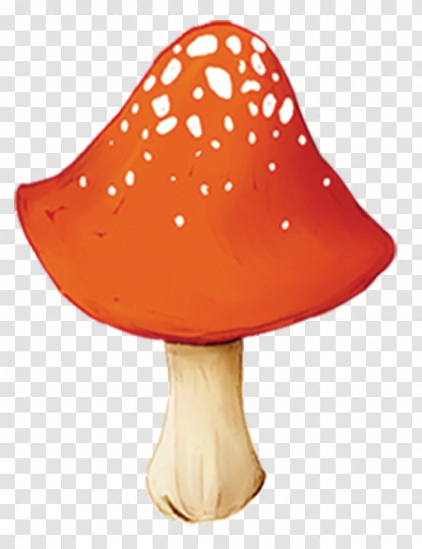 Orange Fungus Mushroom - Wild Teacher Transparent PNG