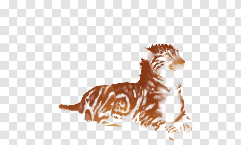 Felidae Lion Cat Tiger Cheetah - Sunset Transparent PNG