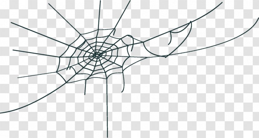 Spider Web Halloween - Line Art - Blackandwhite Symmetry Transparent PNG