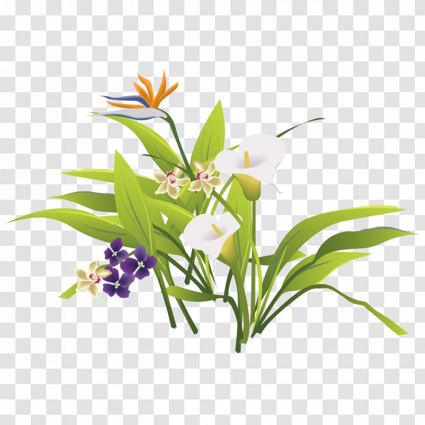 Floral Design Flower Bouquet - Branch - Vector Fresh Green Leaves Of Grass Transparent PNG