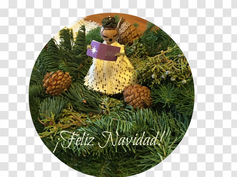 Christmas Ornament Pine Family Day - Grass - Feliz Navidad Transparent PNG