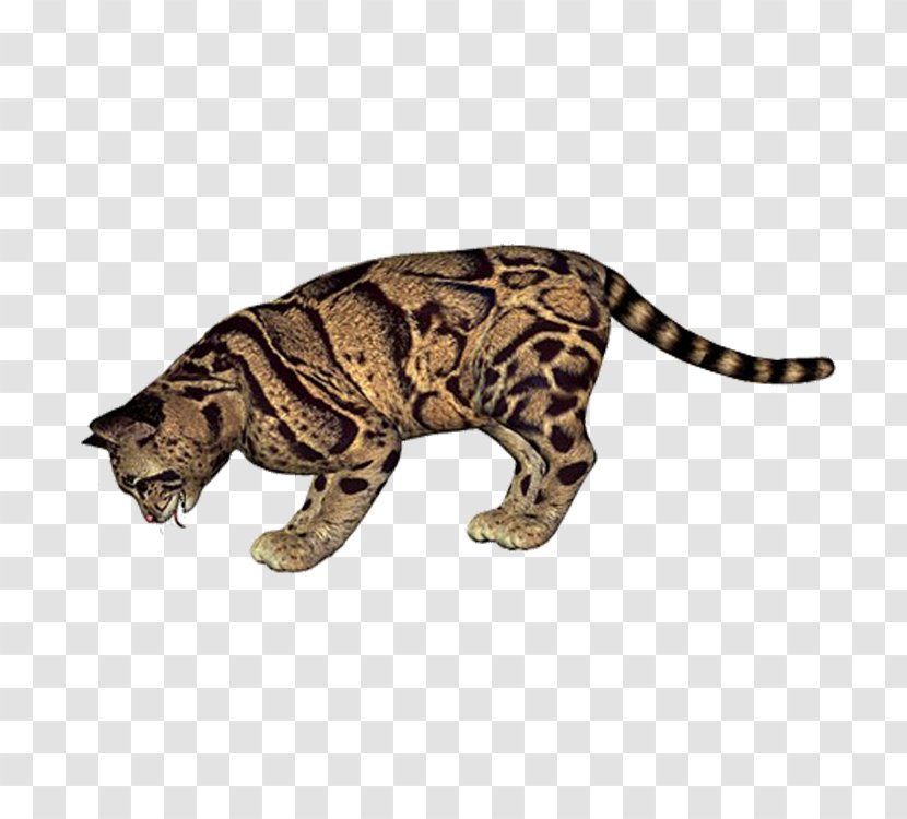 Leopard Cheetah Eurasian Lynx Tiger Transparent PNG