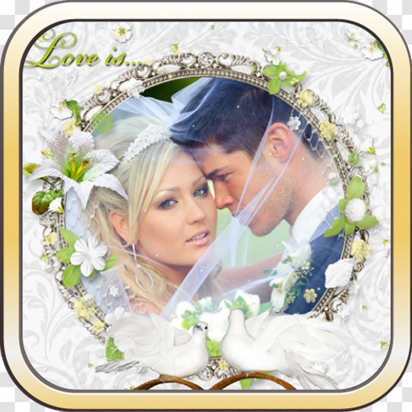 Picture Frames Wedding Photography Bride - Rose Family Transparent PNG