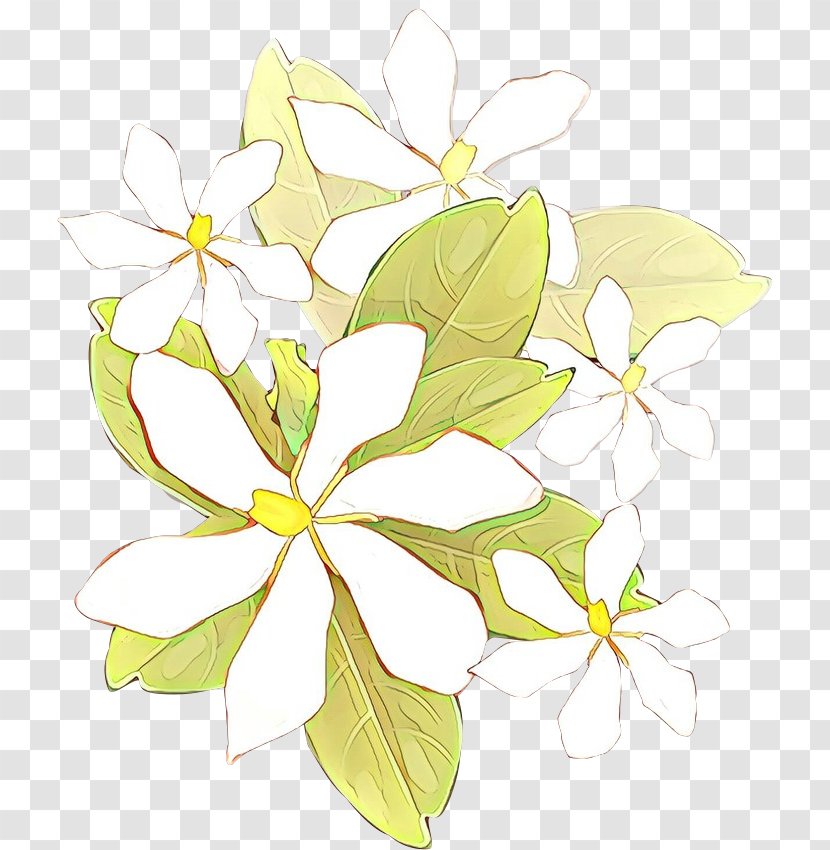 Flower Plant Leaf Clip Art Petal - Wildflower - Herbaceous Transparent PNG