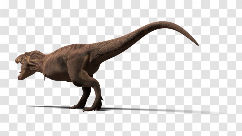 Tyrannosaurus TurboSquid Animal Velociraptor 3D Modeling - Bill Ace - Trex Transparent PNG