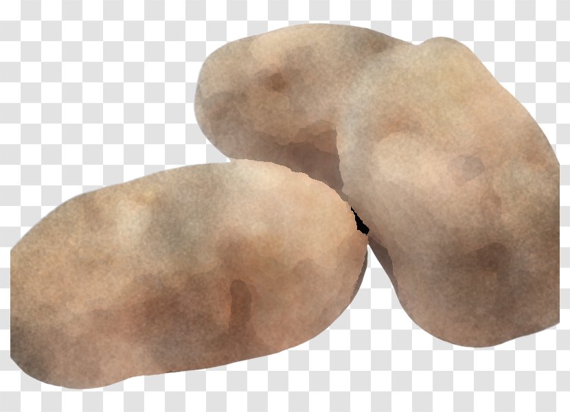 Potato Rock Root Vegetable Plant - Beige - Russet Burbank Solanum Transparent PNG