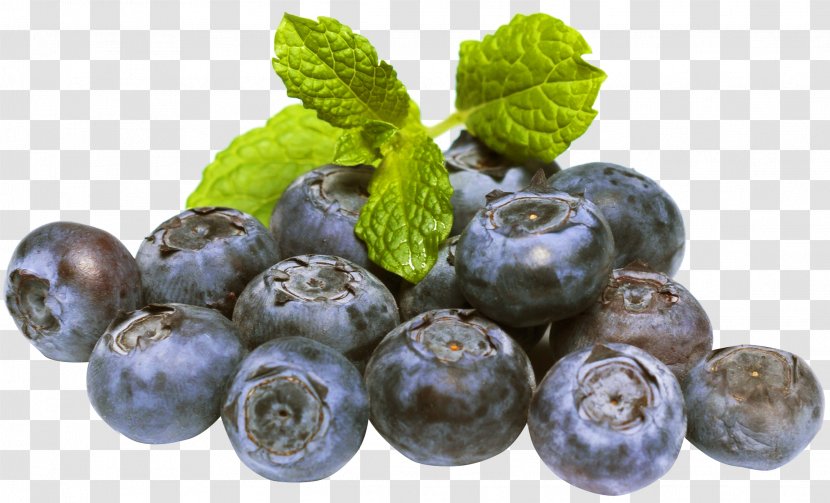 Blueberry Fruit - Natural Foods - Blueberries Transparent PNG