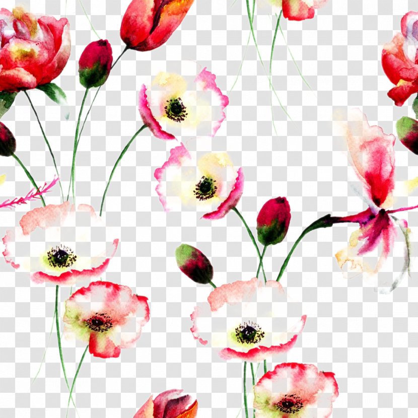 Poppy Flowers Watercolor Painting Floral Design - Beautiful Background Transparent PNG