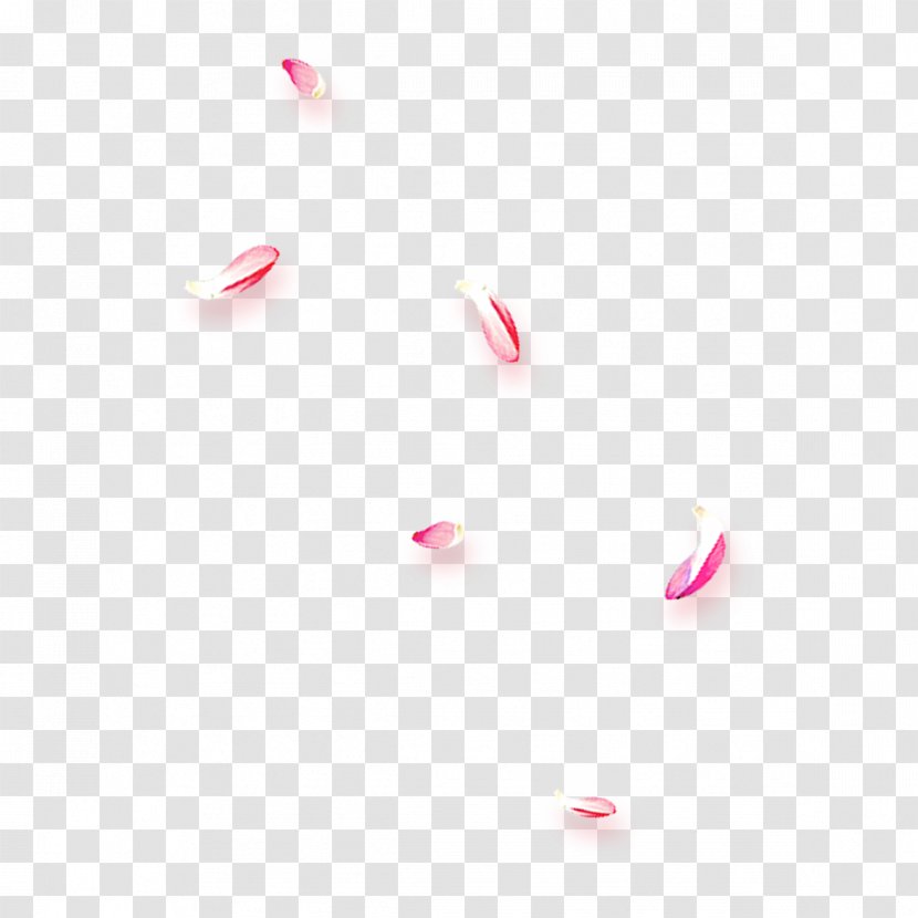 Desktop Wallpaper Petal Close-up - Pink - Petals Free Image Transparent PNG