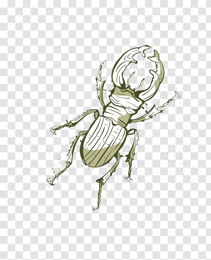 Cockroach Insect Cartoon Transparent PNG