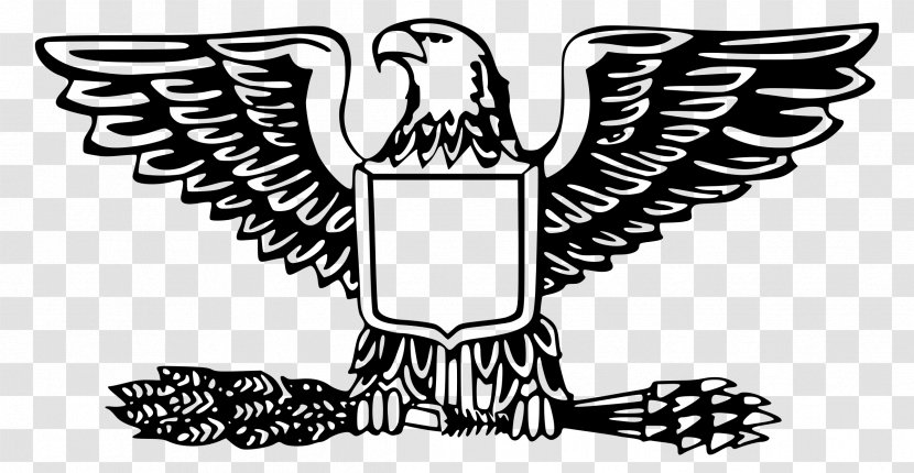 Bald Eagle United States American Outfitters Clip Art - Joint Transparent PNG