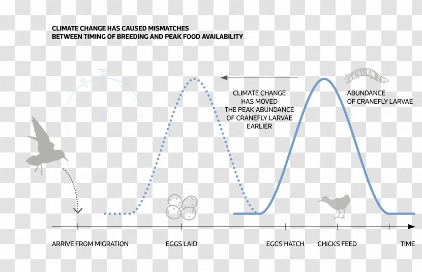 Line Angle - Triangle - Climate Of Egypt Transparent PNG