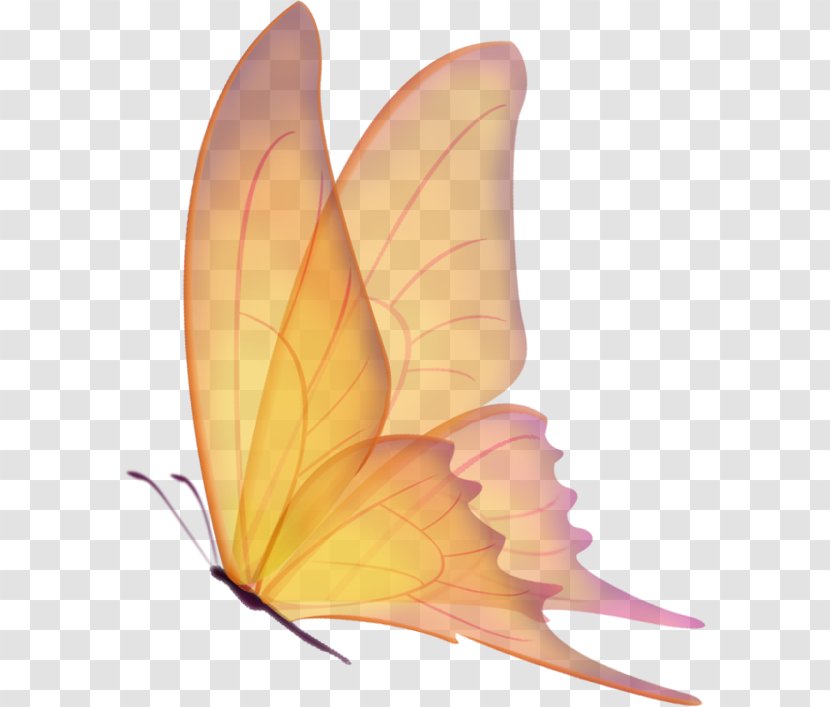 Мотылёк Fairy Tale Troll - Butterfly - Peach Transparent PNG