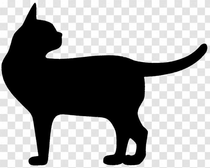 Black Cat Kitten Domestic Short-haired Whiskers - Short Haired Transparent PNG