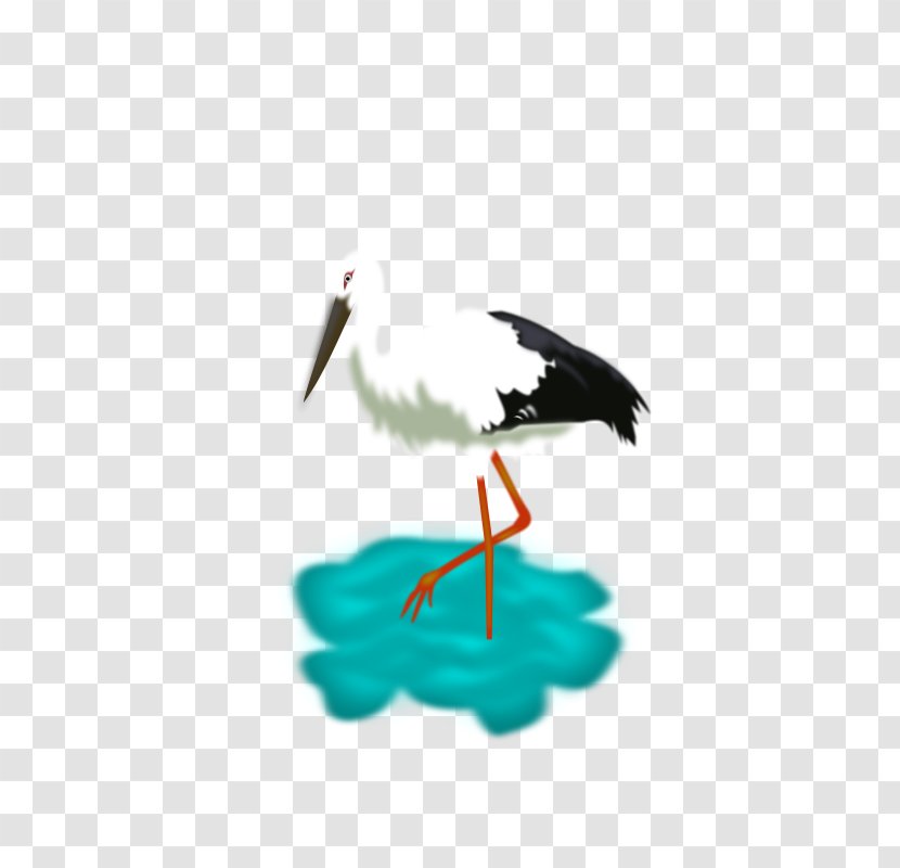 White Stork Bird - Crane Like Transparent PNG