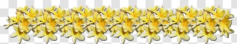 Red Frangipani Plants Plumeria Alba Image Exotic - Fragrant Tropical Flowers Growing In Hawaii Transparent PNG