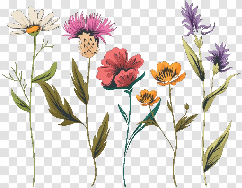 Pink Flower Cartoon - Plant - Family Perennial Transparent PNG