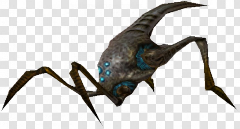 Metroid Prime 2: Echoes Fandom Wikia - Beak - Insect Transparent PNG