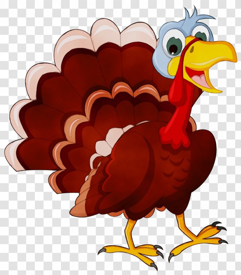 Bird Rooster Beak Chicken Turkey - Cartoon - Livestock Transparent PNG