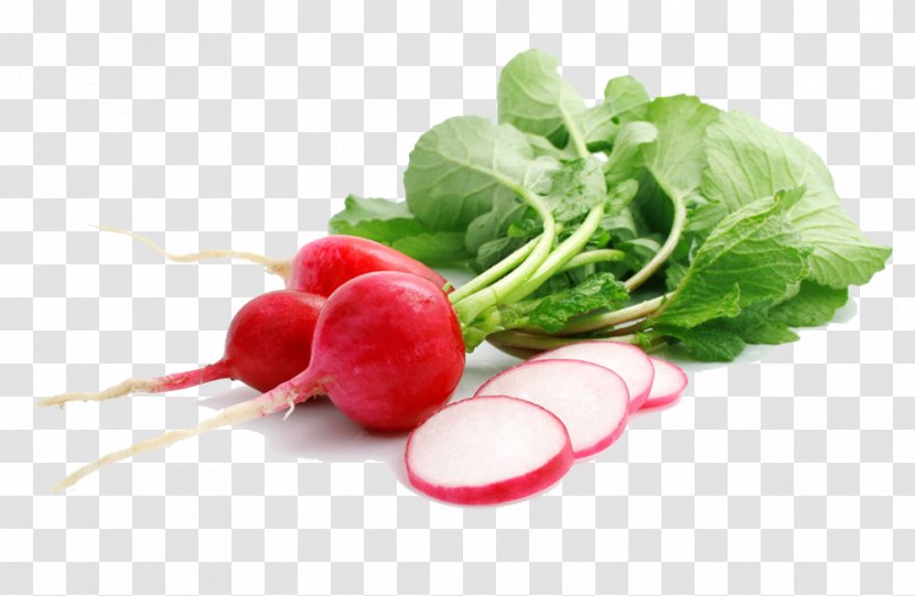 Radish Vegetable Onion Zucchini Food - Natural Foods - Round Carrot Transparent PNG