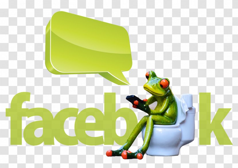 Social Media Advertising Facebook Blog Pay-per-click - Frog Transparent PNG