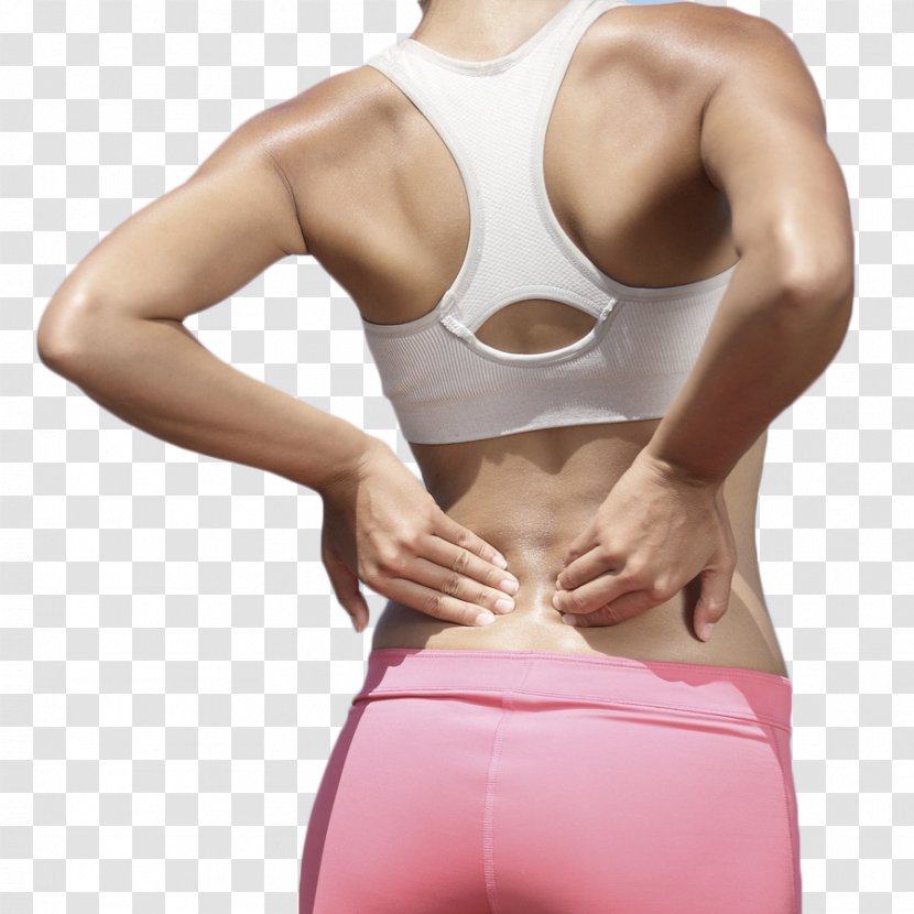Low Back Pain Major Trauma Physical Therapy Medicine - Tree Transparent PNG