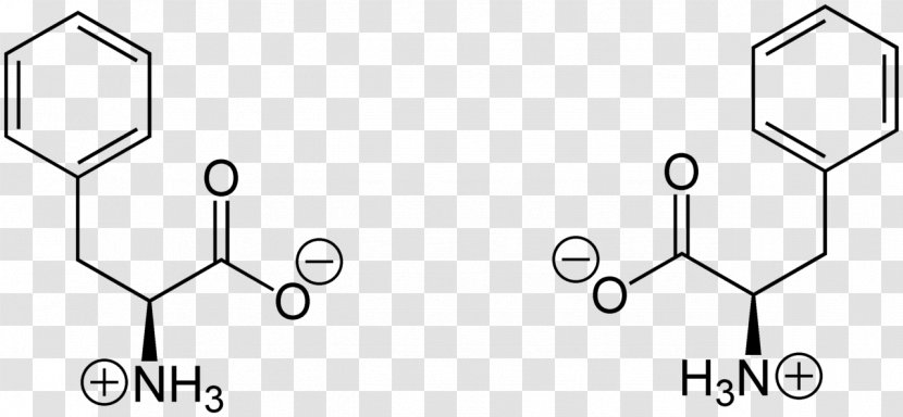 Amino Acid Phenylalanine Zwitterion Amine - Aromatic - Racemase Transparent PNG