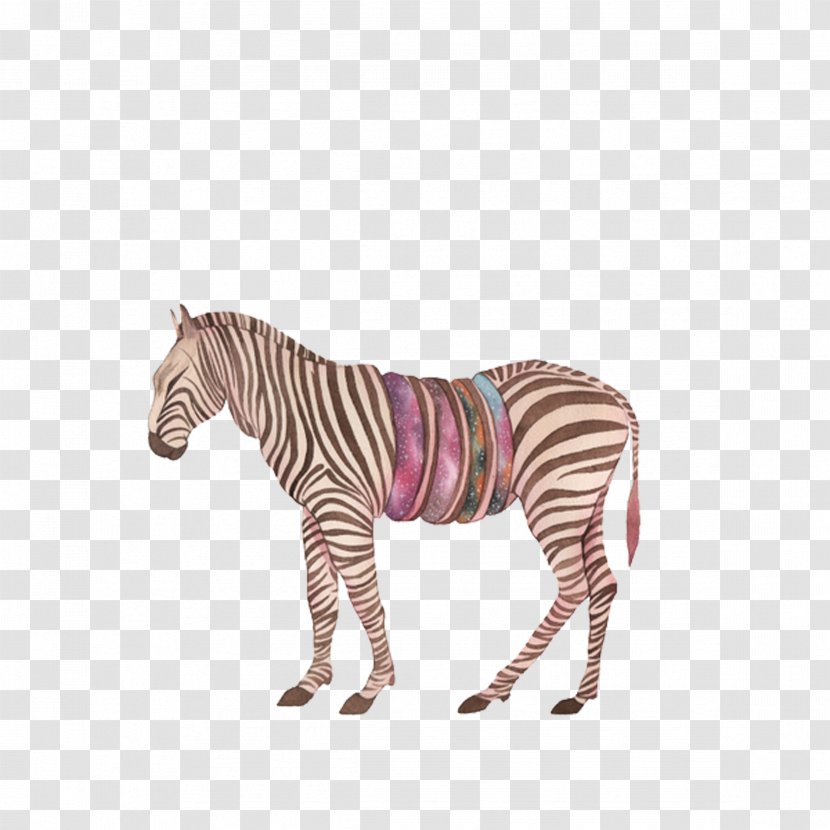 Africa Quagga - Pink - Zebra Transparent PNG