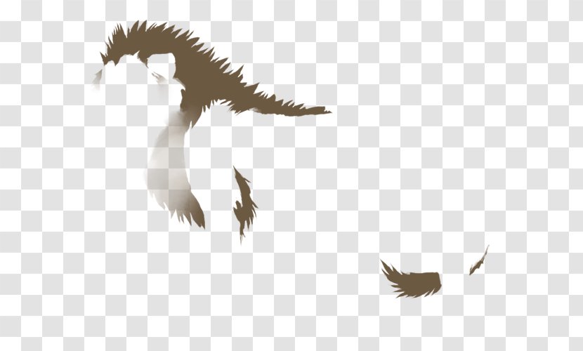 Bald Eagle Beak Feather Wildlife - Sky Plc Transparent PNG