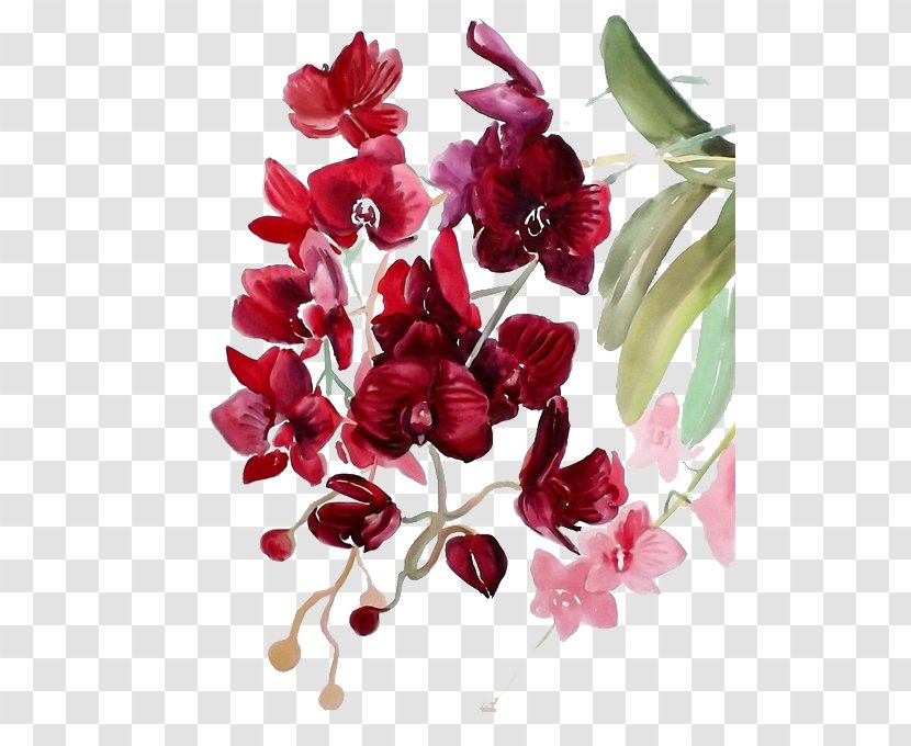 Watercolor Painting Watercolor: Flowers Watercolour Orchids - Petal - Red Transparent PNG