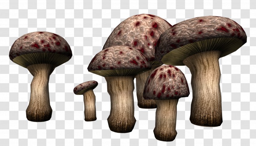Edible Mushroom Fungus Poisonous Clip Art - Onion Transparent PNG