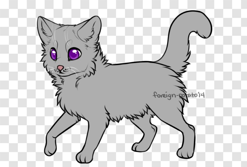 Whiskers Kitten Cat Warriors Apprenticeship - Paw Transparent PNG