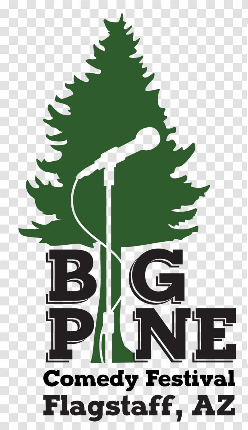 Logo Christmas Tree Pine Font Transparent PNG