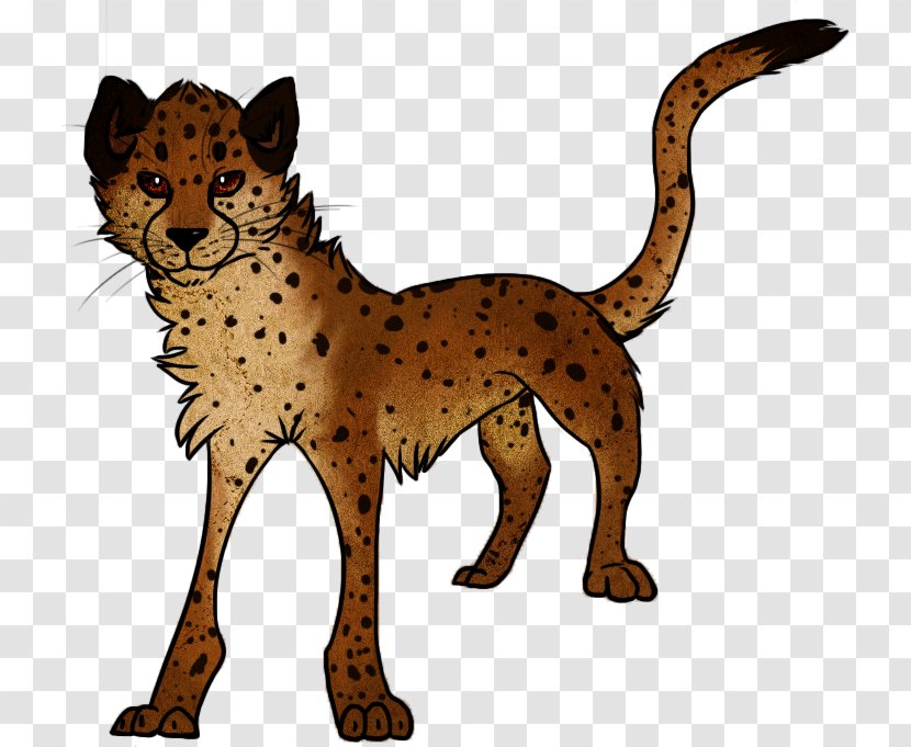 Cheetah Cat Lion Mammal Carnivora - Like Transparent PNG