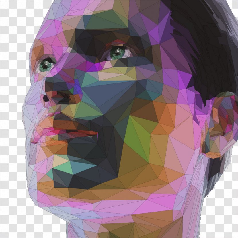 Portrait Photography Illustration - Polygon - Creative Woman Head Transparent PNG