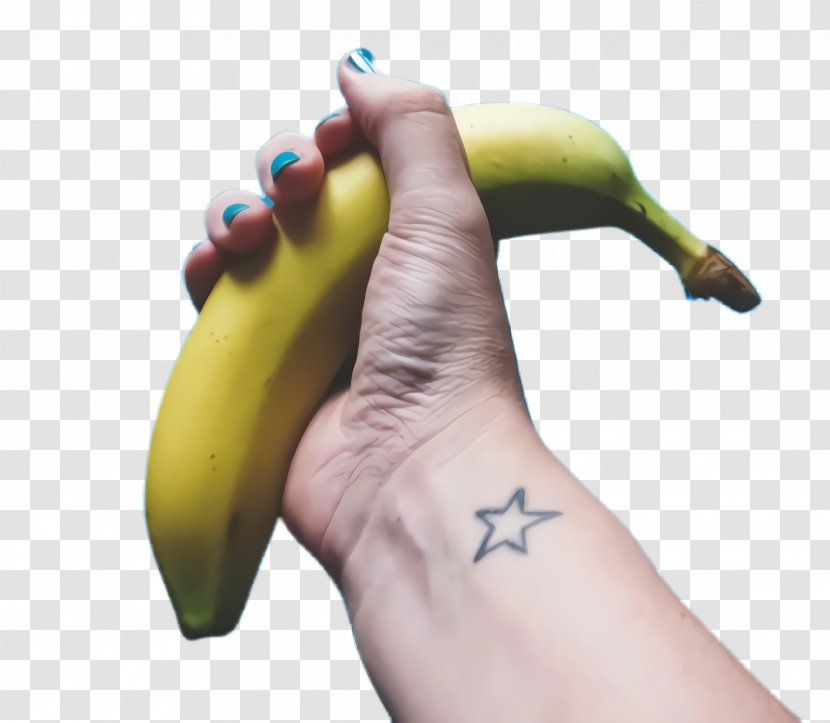 Banana Family Fruit Finger Plant - Hand - Thumb Food Transparent PNG