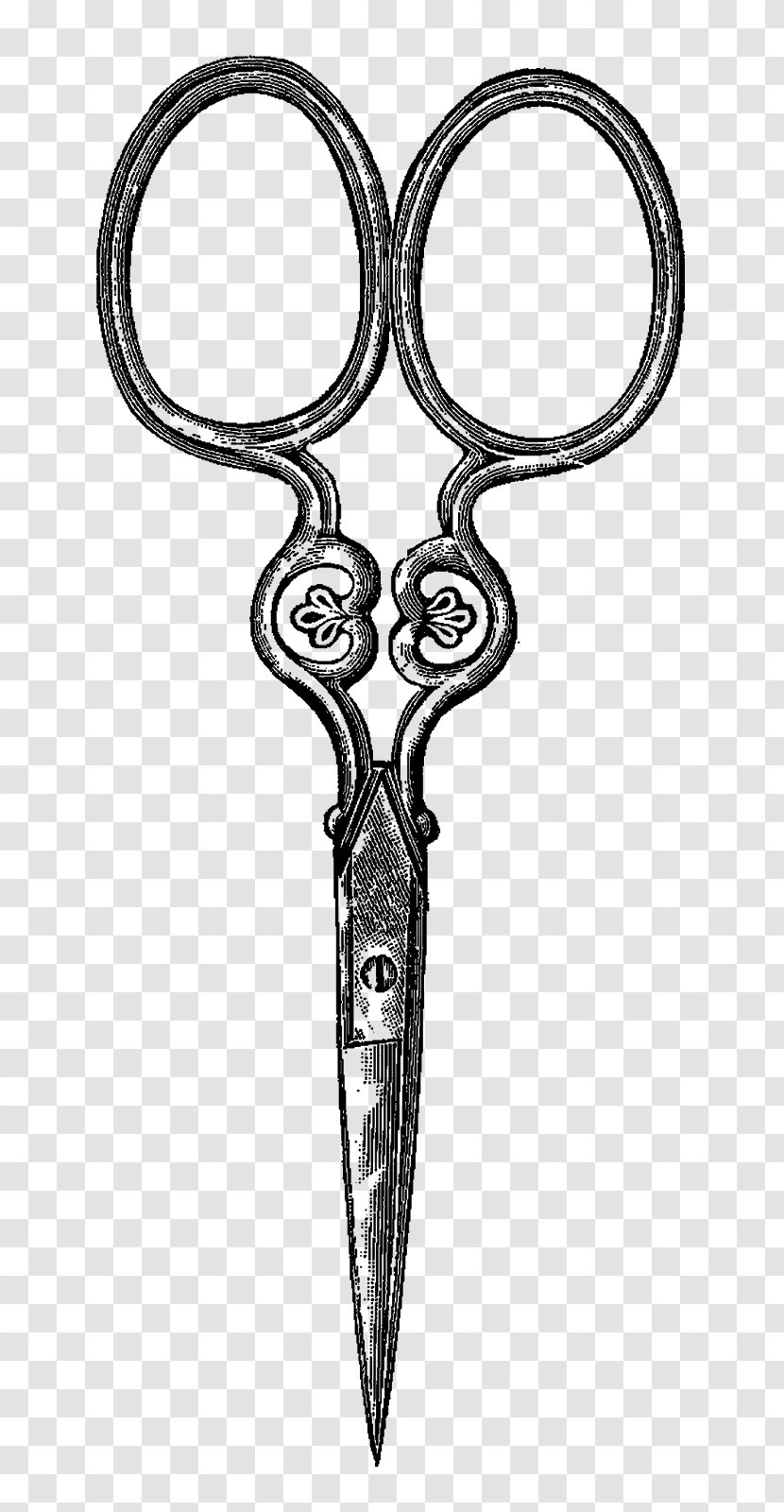 Scissors Drawing Sewing Notions - Digital Image Transparent PNG