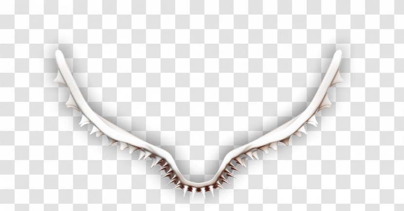 Necklace Jewellery Silver Chain - Wing Transparent PNG