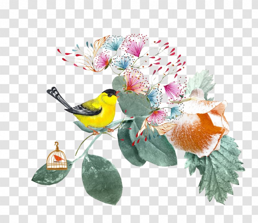 Watercolor Painting - Cut Flowers - Birds Transparent PNG