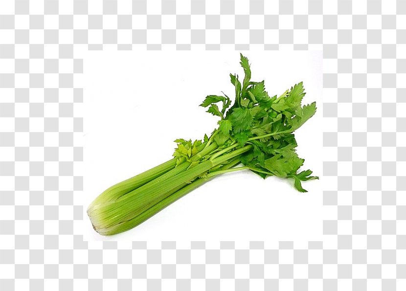Organic Food Vegetarian Cuisine Celery Vegetable - Choy Sum Transparent PNG