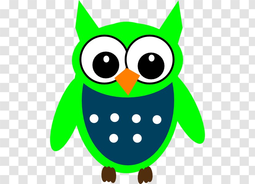 Owl Drawing Clip Art - Bird Transparent PNG