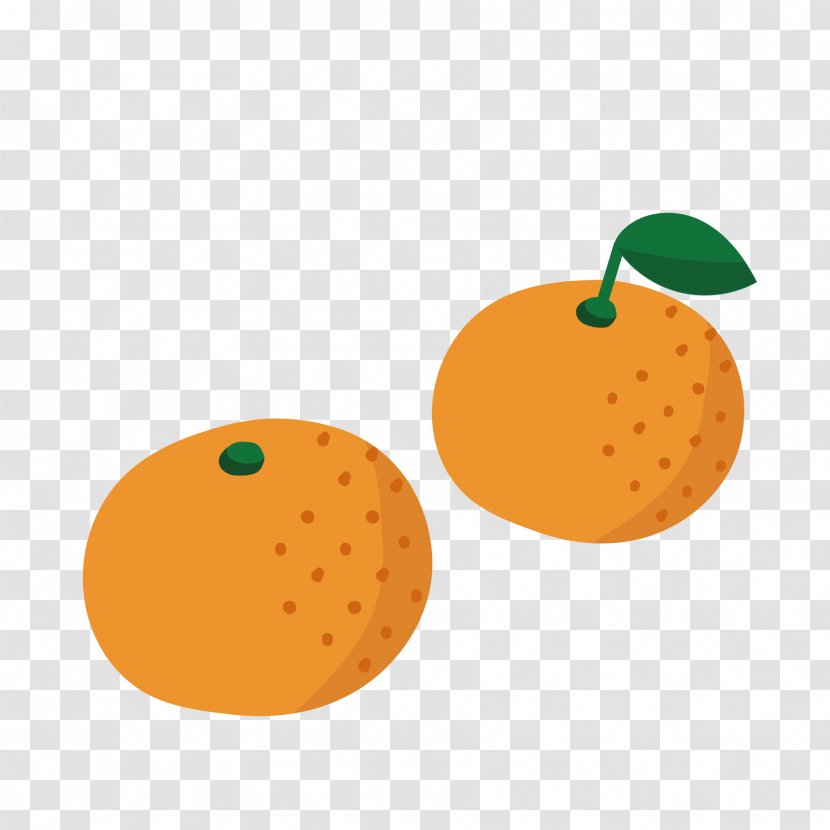 Satsuma Mandarin Fruit Winter - Organism - Tangerine Transparent PNG
