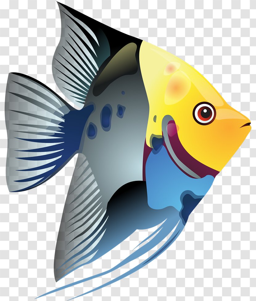 Tropical Fish Clip Art - Pixabay - Cliparts Transparent PNG